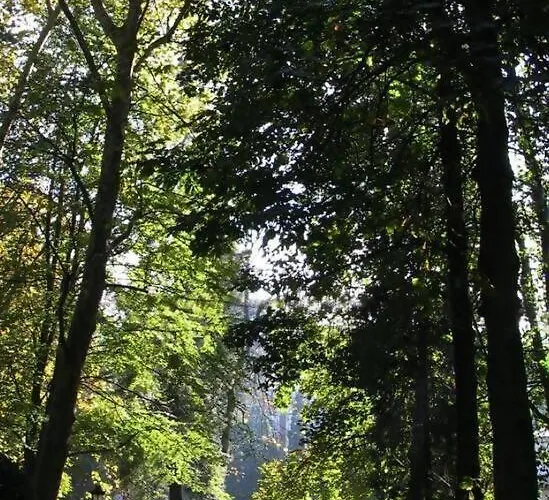 Marques De Teverga , Centro Apartamento *